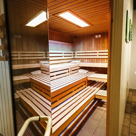 Neu Superior 312, Oberharz, Schwimmbad Und Sauna *