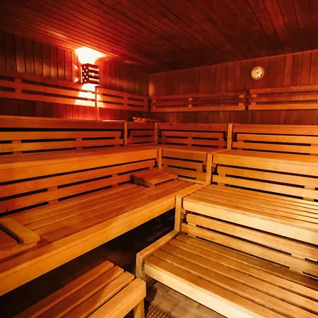 Neu Superior 312, Oberharz, Schwimmbad Und Sauna Braunlage