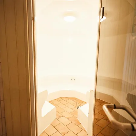 Neu Superior 312, Oberharz, Schwimmbad Und Sauna