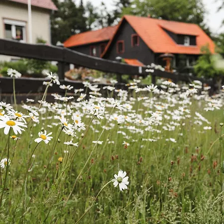 Apartamento Neu Superior 312, Oberharz, Schwimmbad Und Sauna *